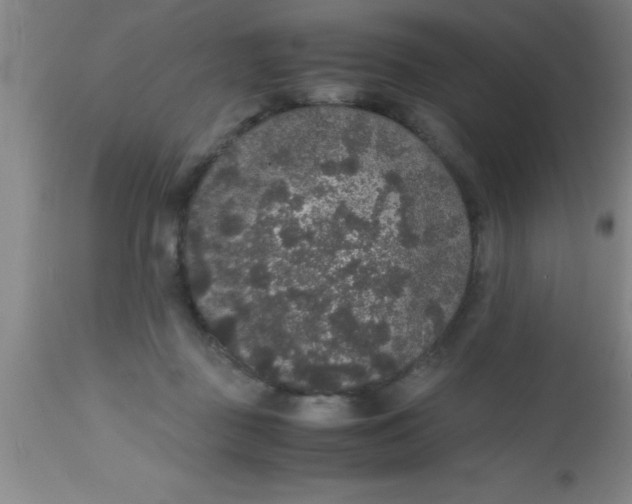 X0000112530363200909071403