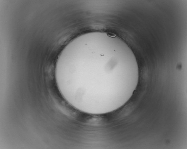 X0000112530364200909071403