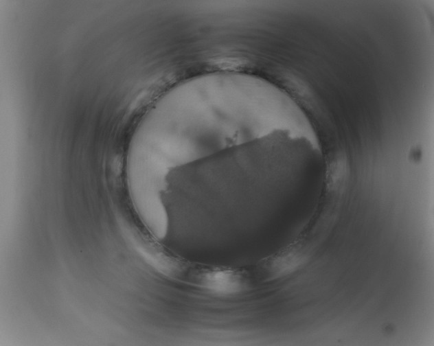 X0000112530365200909071403