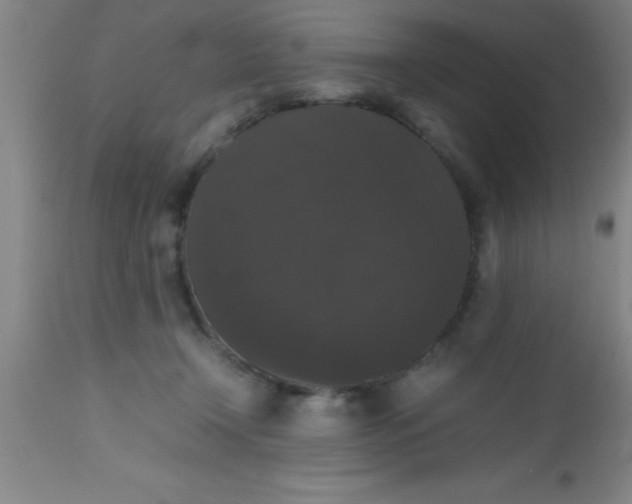 X0000112530366200909071403