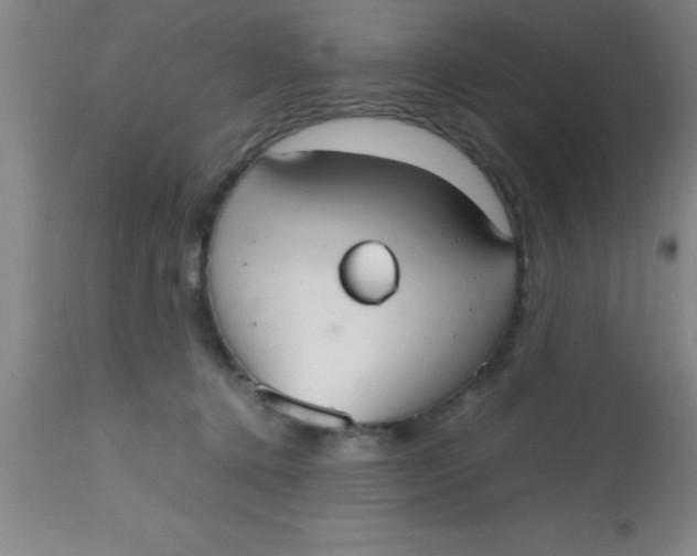 X0000112530368200909071403