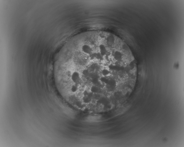 X0000112530369200909071403