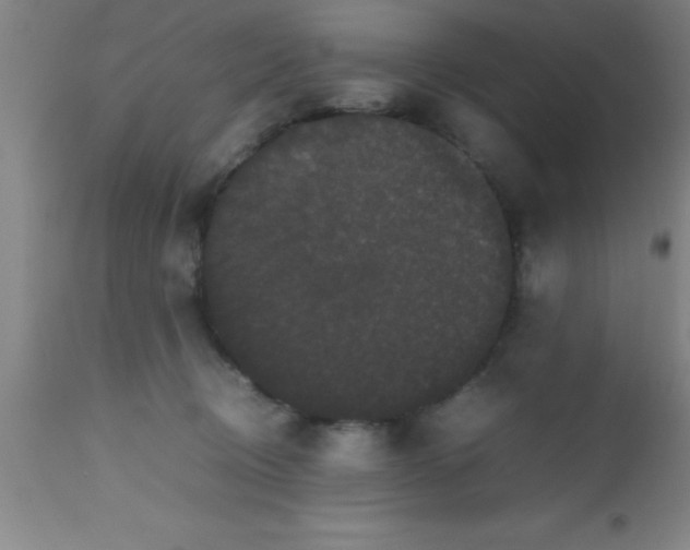 X0000112530370200909071403