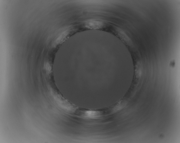 X0000112530371200909071403