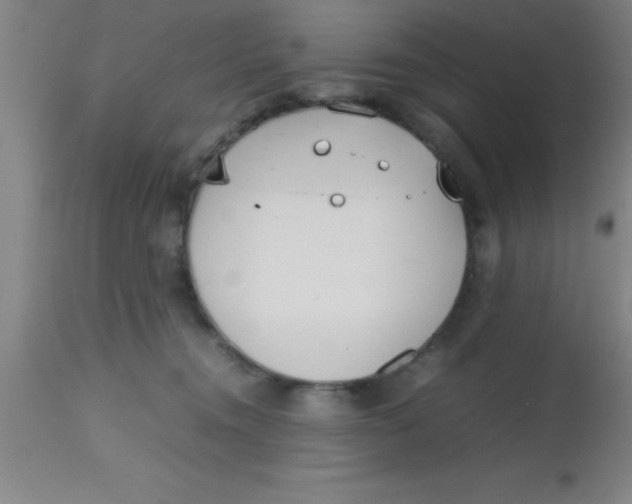 X0000112530372200909071403