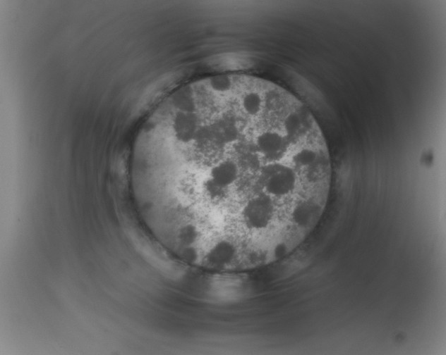 X0000112530373200909071403