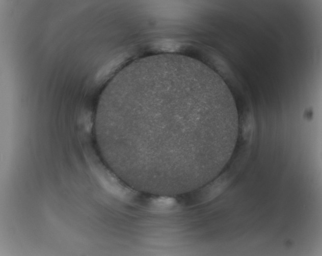 X0000112530374200909071403