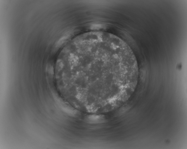 X0000112530375200909071403