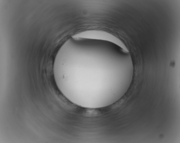 X0000112530376200909071404