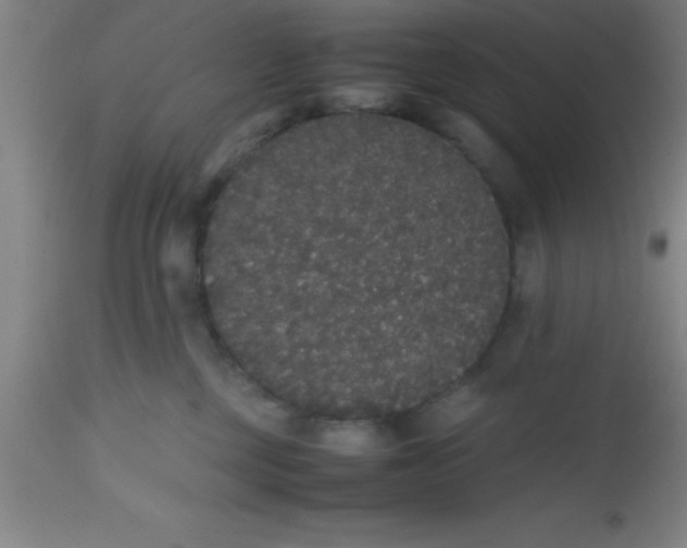 X0000112530377200909071404