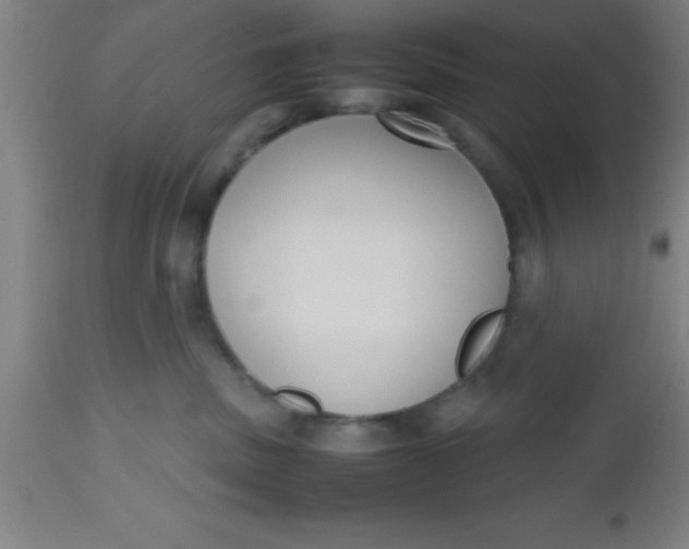 X0000112530379200909071404