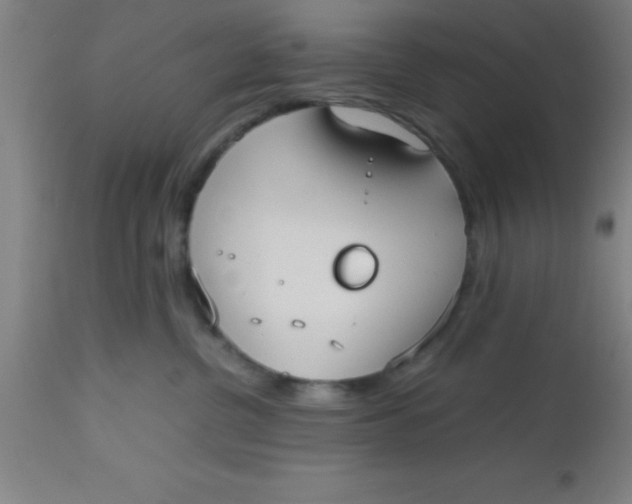 X0000112530380200909071404