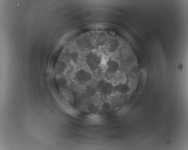 X0000112530381200909071404