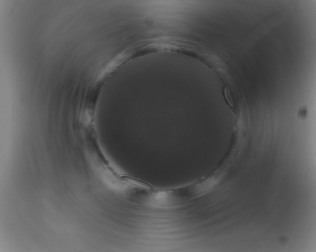 X0000112530382200909071404