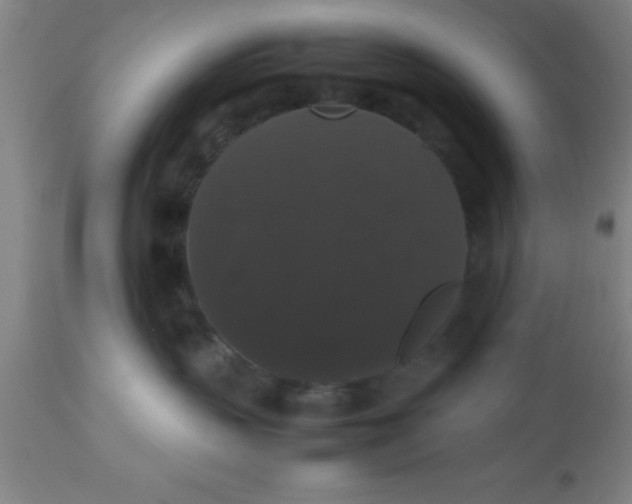 X0000112530383200909071404