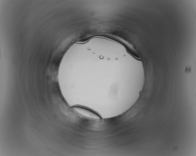 X0000112530384200909071404