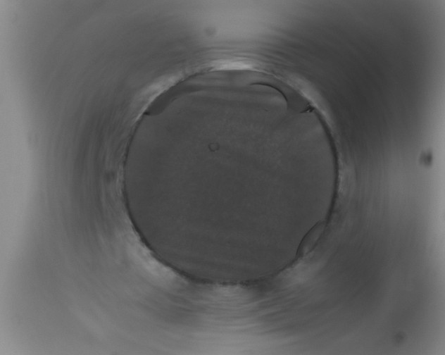 X0000112530385200909071403