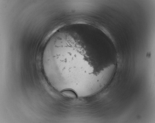 X0000112530386200909071403