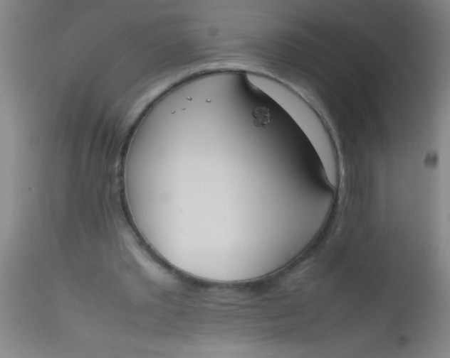 X0000112530389200909071403