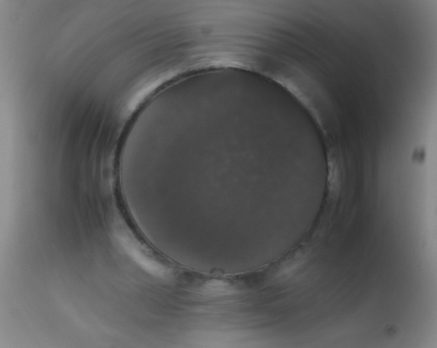 X0000112530390200909071403