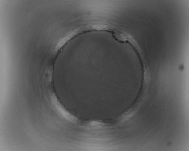 X0000112530393200909071403