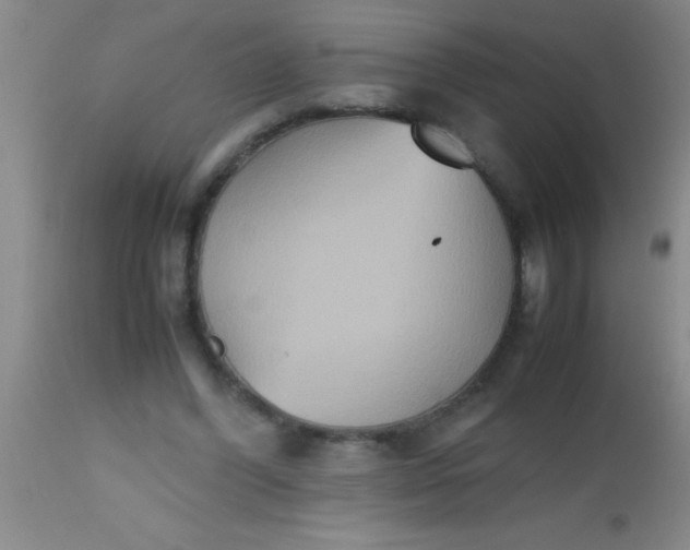 X0000112530396200909071403