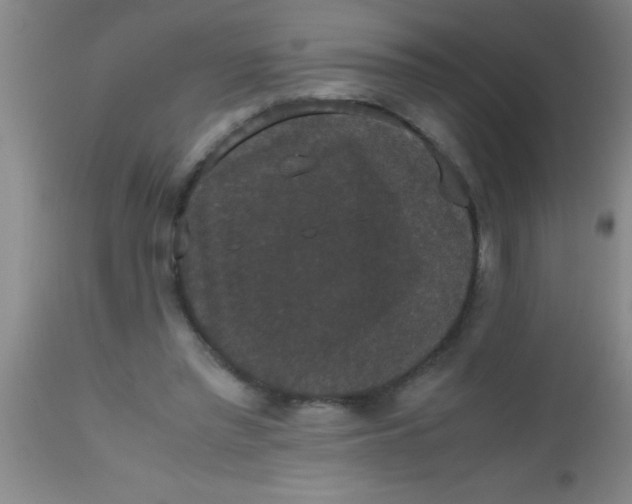 X0000112530397200909071403