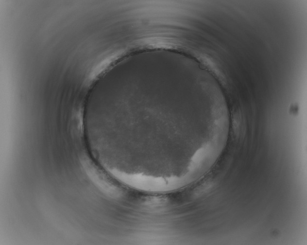 X0000112530398200909071403