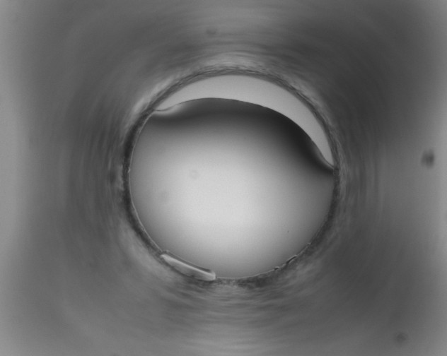 X0000112530399200909071403