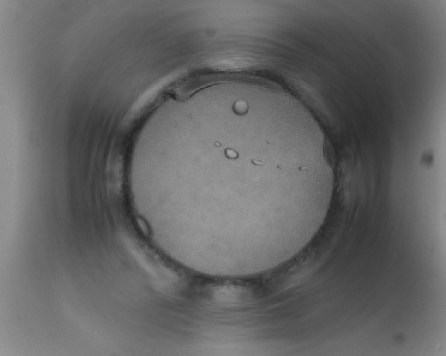 X0000112530400200909071403