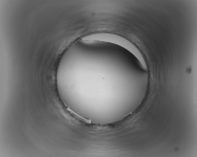 X0000112530401200909071403