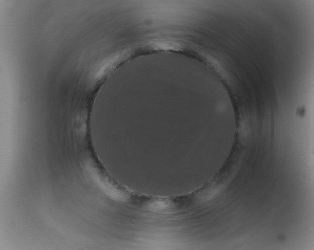 X0000112530402200909071403