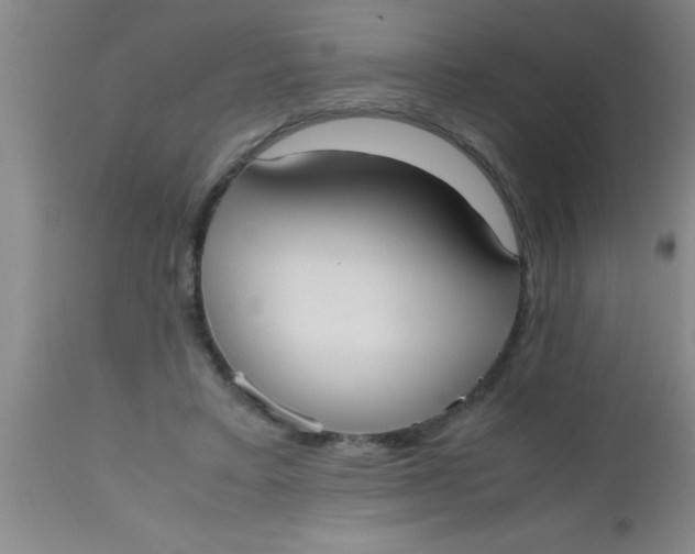 X0000112530403200909071403