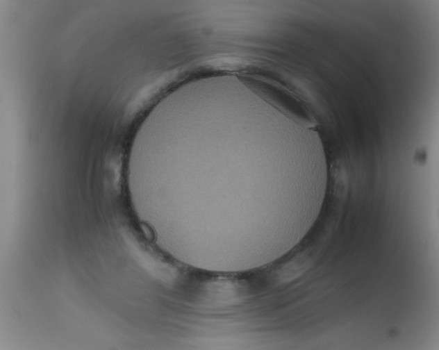 X0000112530404200909071403