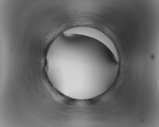 X0000112530405200909071403