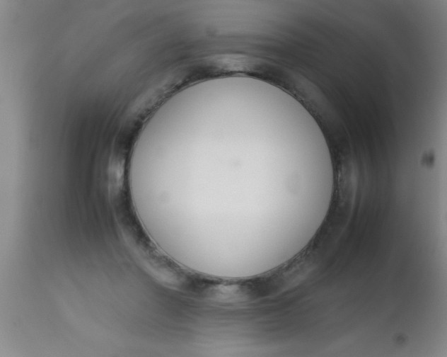 X0000112530406200909071403