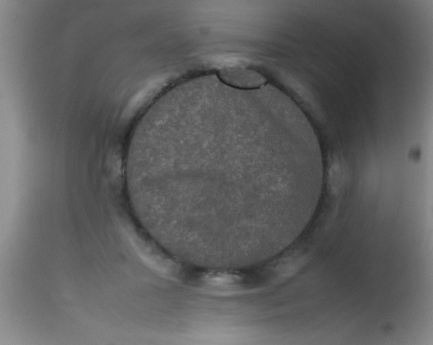 X0000112530407200909071403