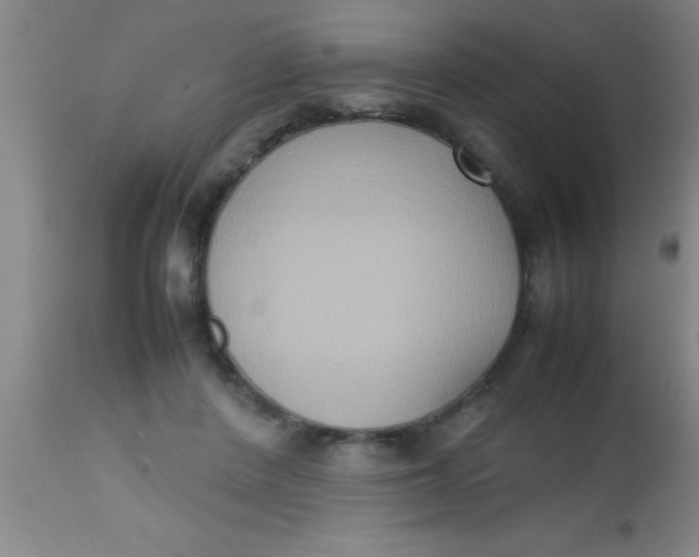 X0000112530408200909071403