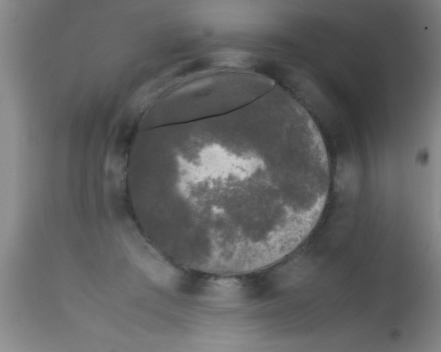 X0000112530409200909071403