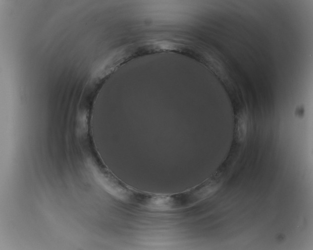 X0000112530410200909071403