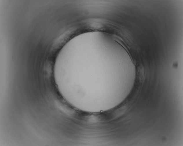 X0000112530412200909071403