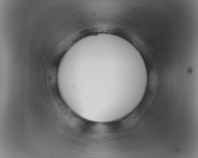 X0000112530413200909071402