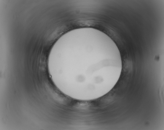 X0000112530414200909071402