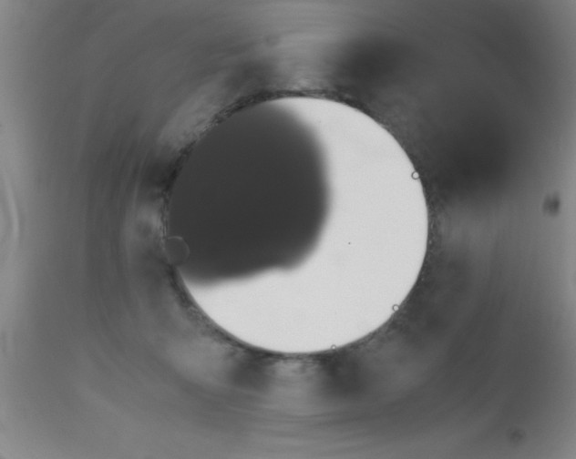 X0000112530415200909071402