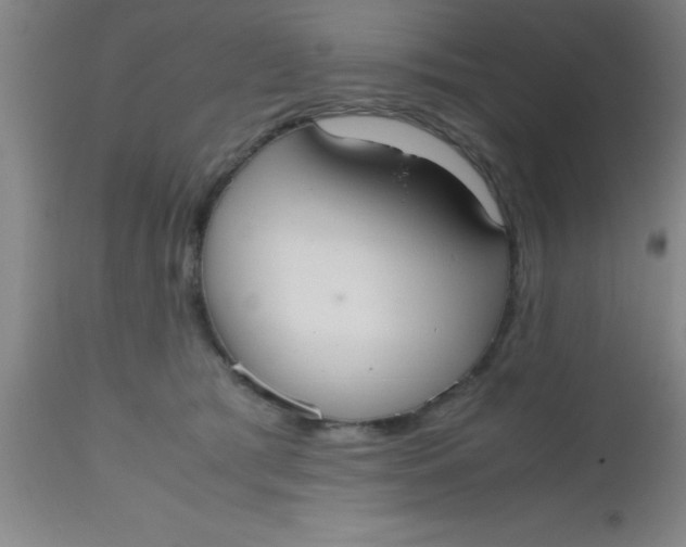 X0000112530417200909071402