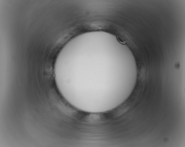 X0000112530418200909071402