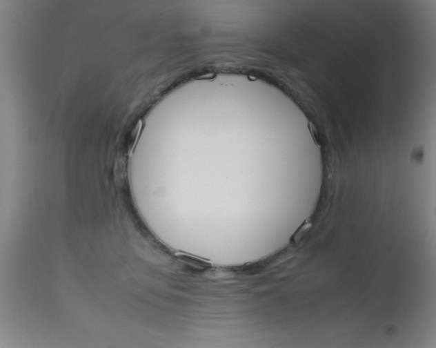 X0000112530419200909071402