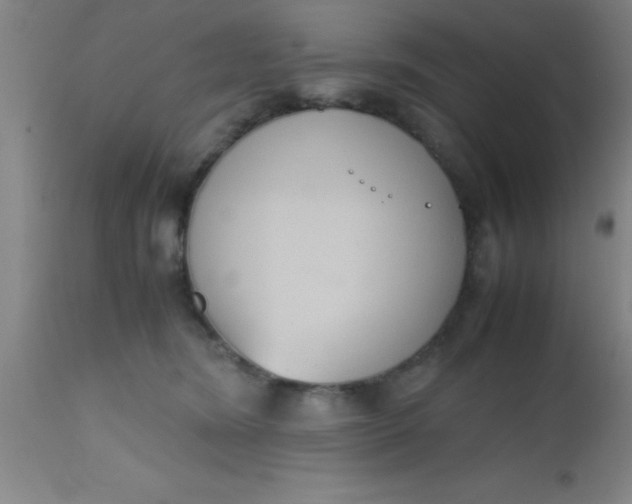 X0000112530420200909071402