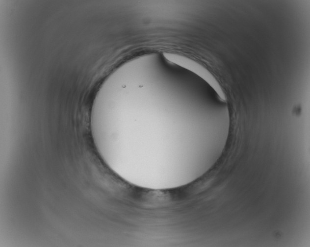 X0000112530421200909071402