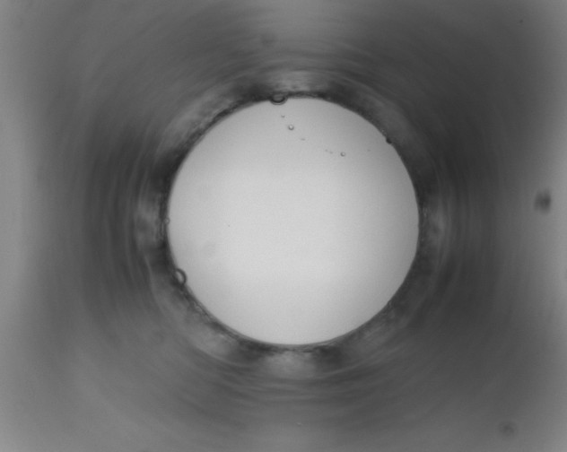 X0000112530422200909071402